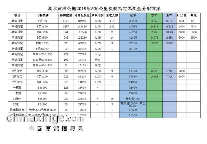 桃园公棚最新公告全面解读