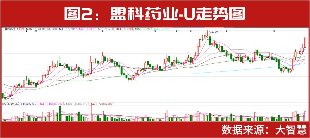 牛散何雪萍最新持股动态与投资逻辑深度解析