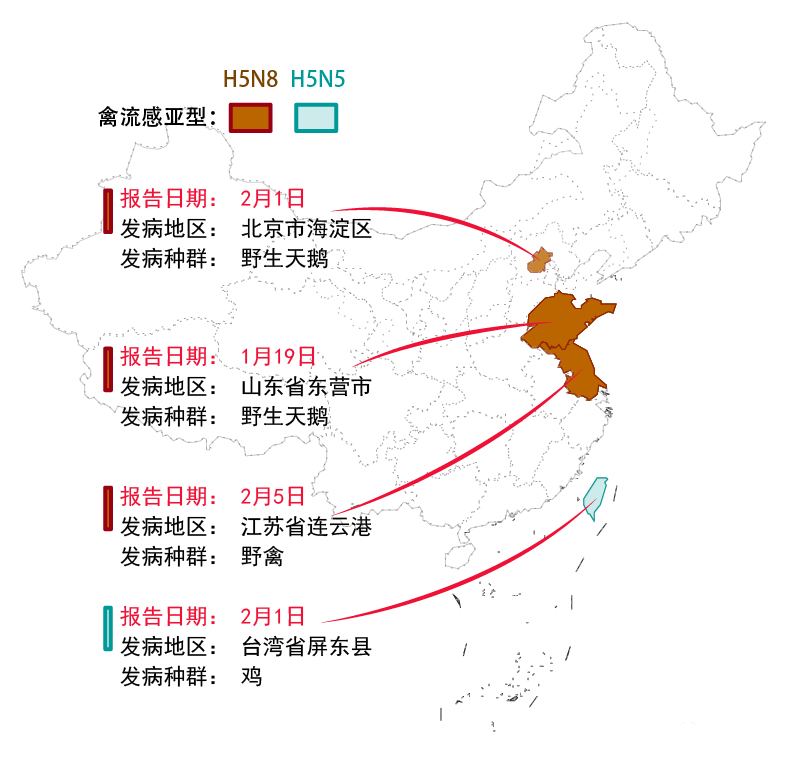 中国禽流感最新动态，全面防控，守护人民健康