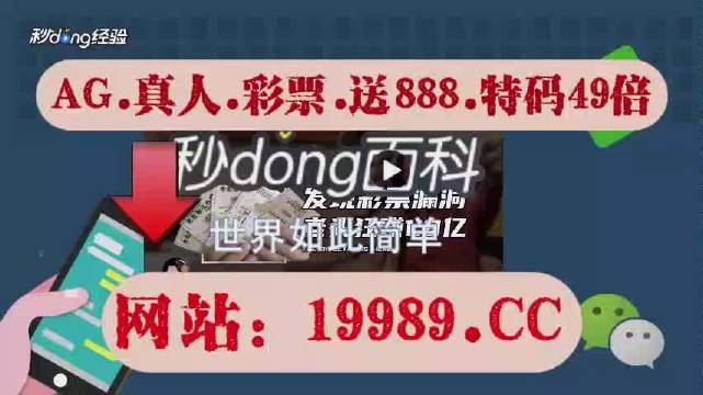 2024澳门天天开好彩大全免费,资源实施方案_FT62.959