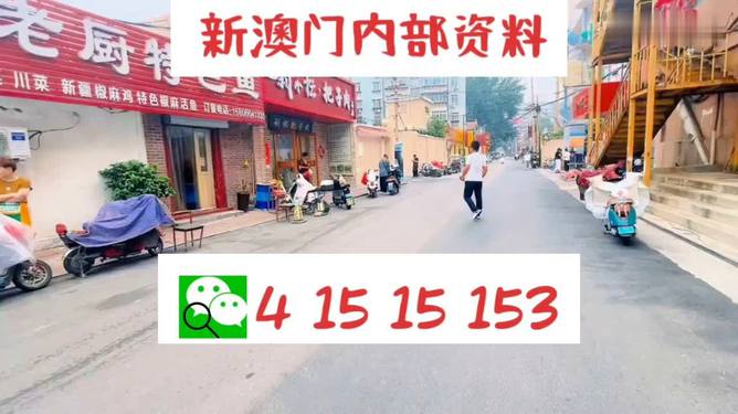 2024澳门天天开好彩大全免费,极速解答解释落实_yShop54.352