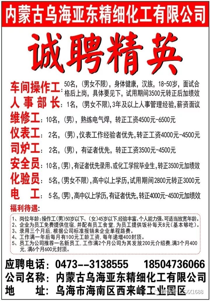 最新仓库管理员招聘信息与职业概述概览