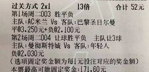 澳门今晚必开一肖1,全面数据执行计划_VIP33.274