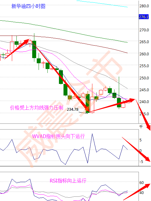 新澳门彩出号综合走势,灵活执行策略_KP23.552