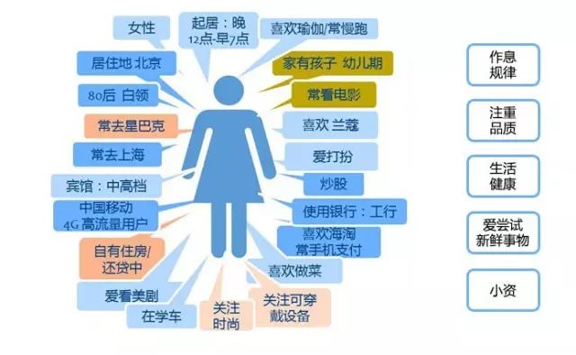 2024新澳最精准资料大全,深入执行数据应用_BT51.549