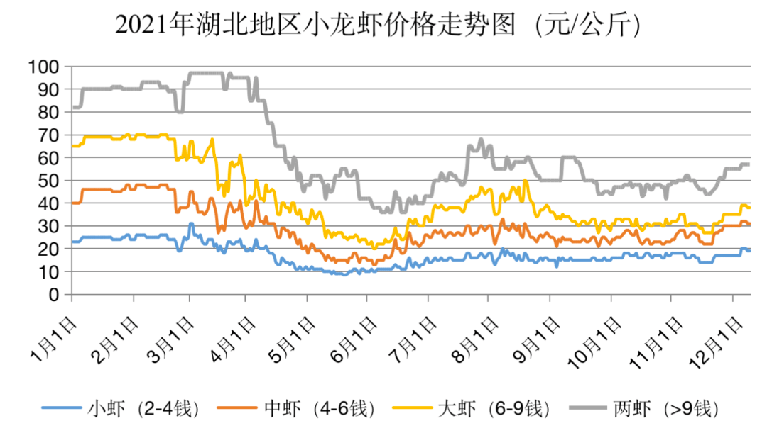 龙虾最新价格动态与市场深度解析