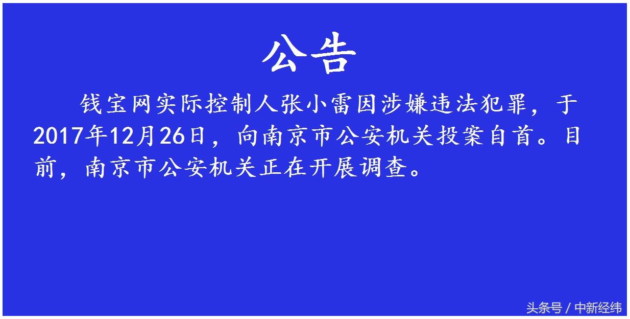 钱宝最新公告，迈向新时代的变革与挑战之路