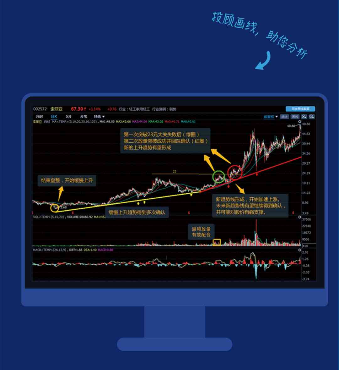 一肖一码免费,公开,深入解析策略数据_工具版91.931