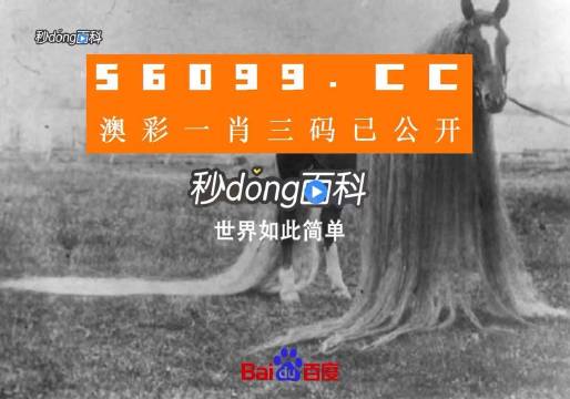 澳门一肖一码一必中一肖,动态词语解释落实_专业款82.528