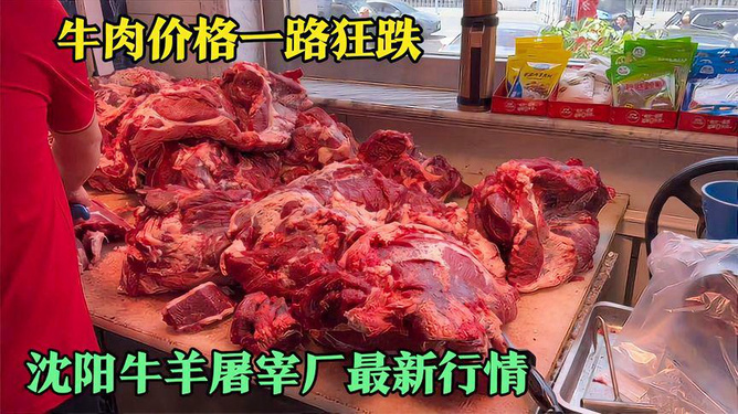 全国牛肉价格最新动态分析