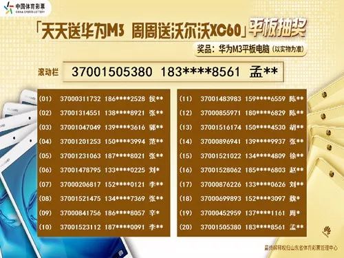 2024天天彩全年免费资料,科学化方案实施探讨_FT95.674