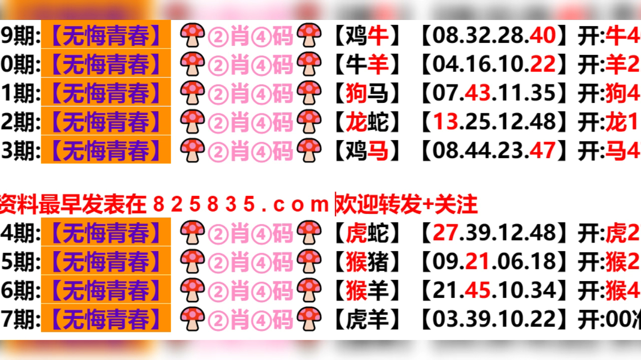 新奥门六开奖结果2024开奖记录,可靠设计策略解析_尊贵版68.204