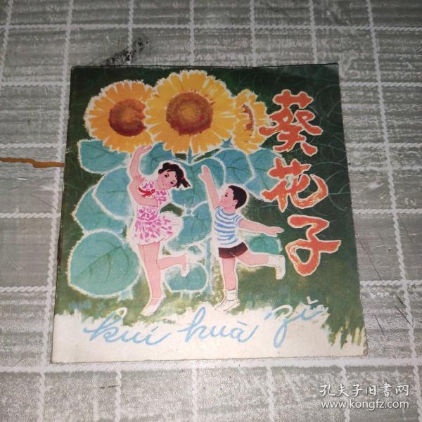 葵花小子最新作品，探索音乐新境界之旅