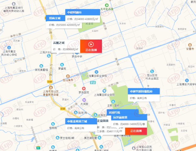 罗店房价最新动态，市场走势分析与购房指南