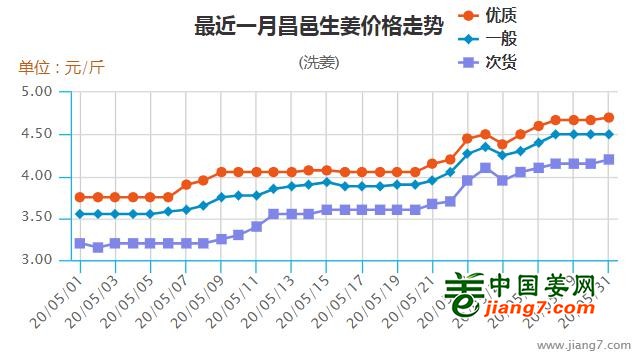 大姜最新价格走势解析