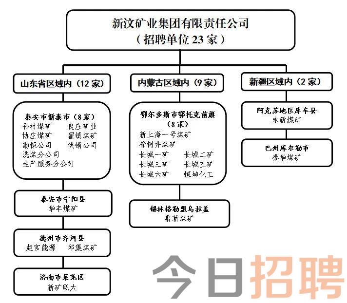 聚焦选矿行业招聘趋势，最新招聘动态与共创未来机遇（2016年）