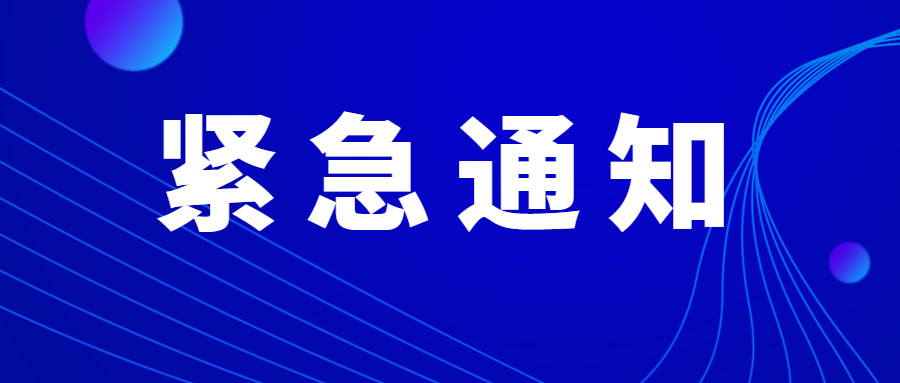 东莞最新扪工招聘动态与行业趋势深度解析