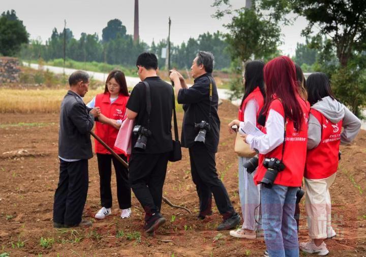 林州方言电影，传承与创新完美融合