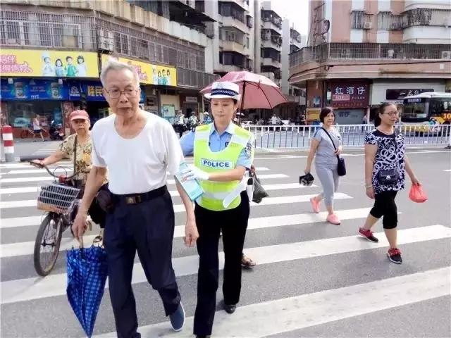 恩平最新新闻综述，城市新动态与发展亮点概览