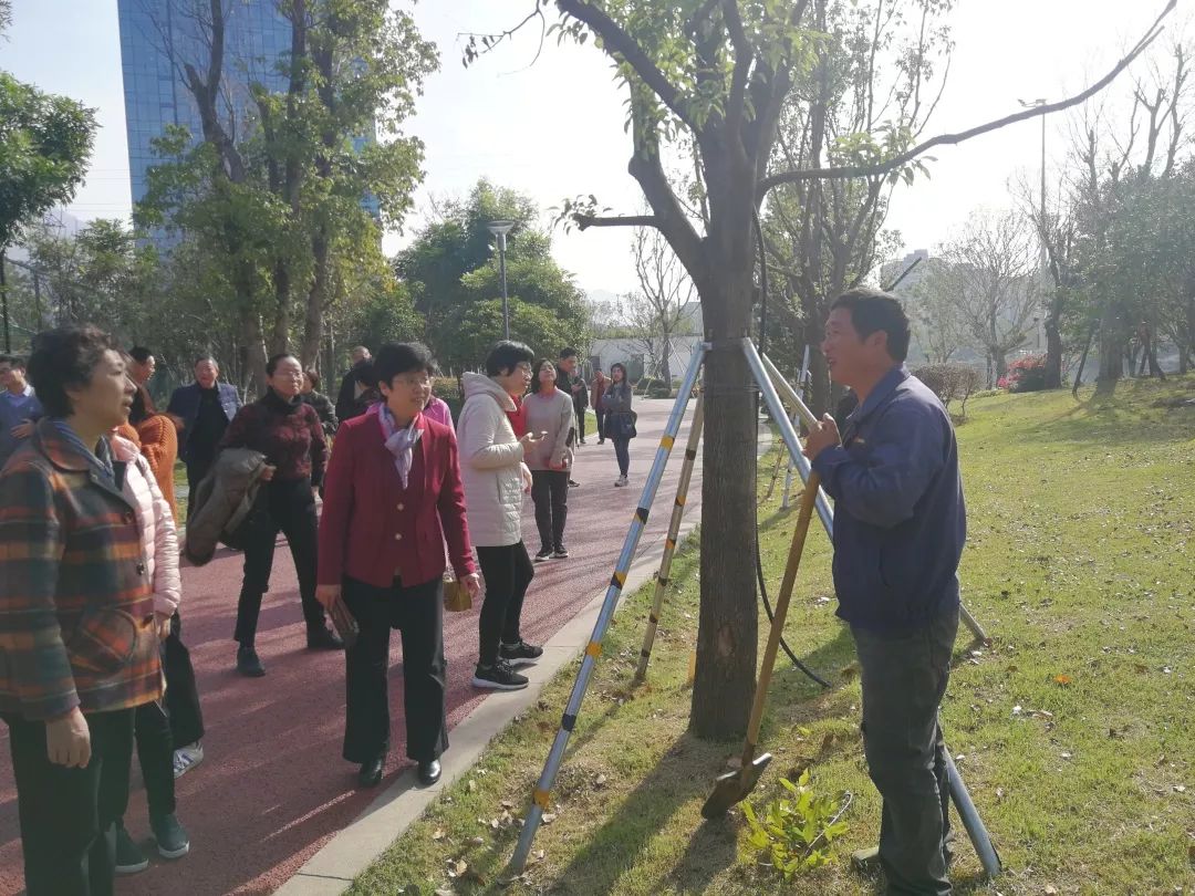 草塅社区蜕变录，城市生活画卷最新动态