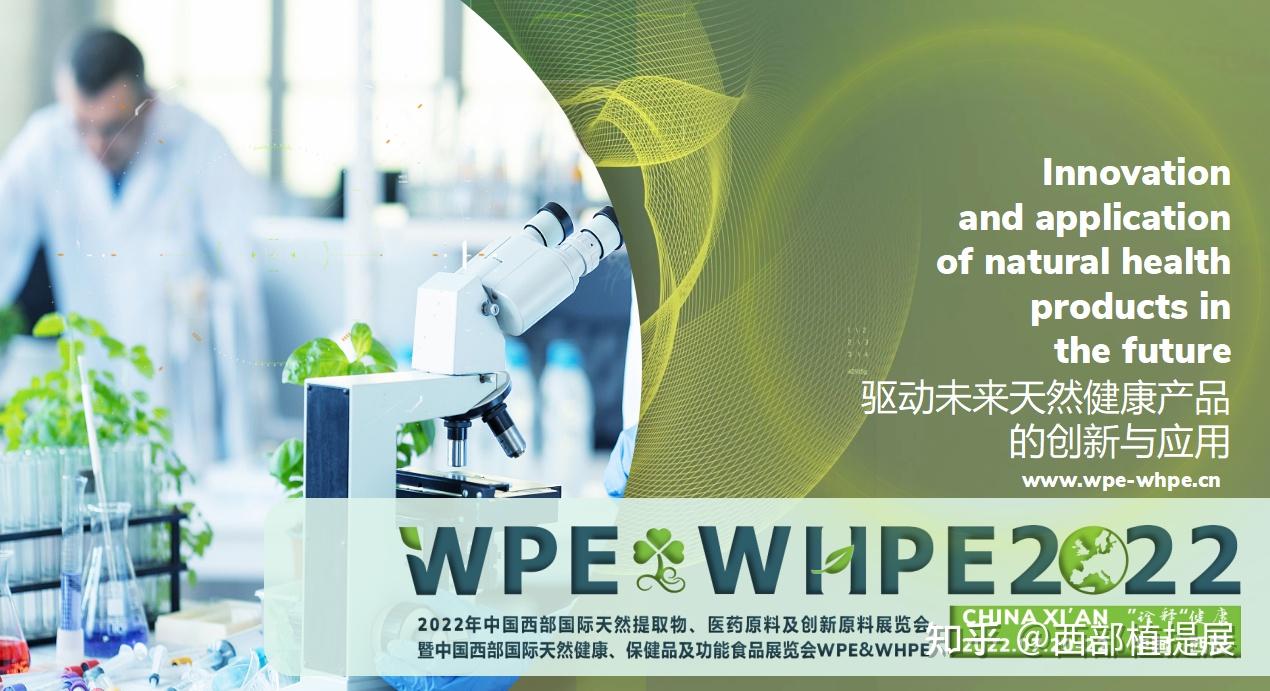 WPE最新技术，引领行业变革的核心驱动力