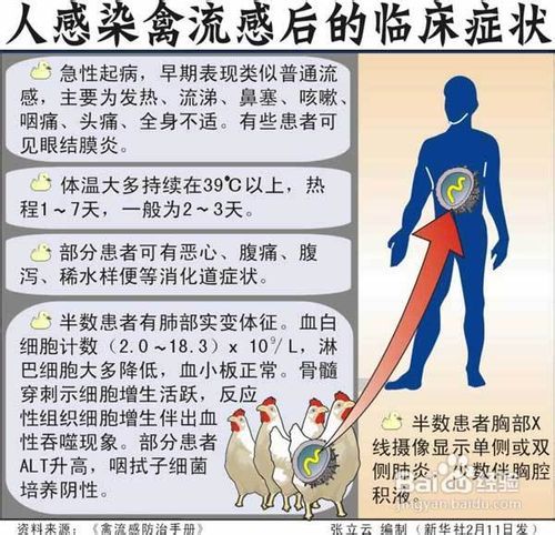 江西禽流感最新动态，全面防控，确保群众健康安全