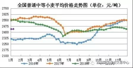 麦子价格最新行情解析