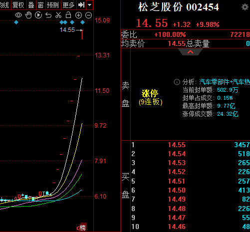 松芝股份最新消息全面解读与分析