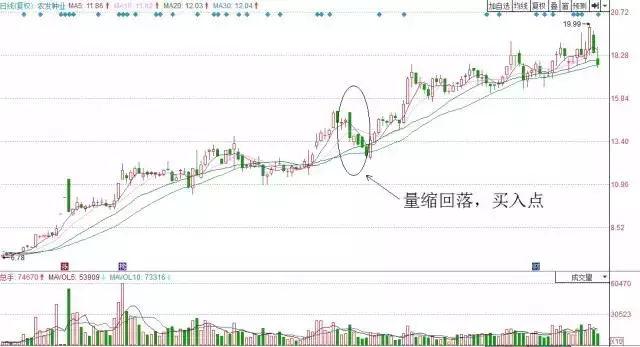 农发种业最新公告深度解读与解析