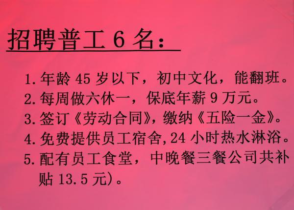 上海保育员招聘最新动态揭秘，职业前景、要求与机遇全面解读