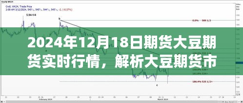 美国大豆期货最新动态及影响因素深度解析