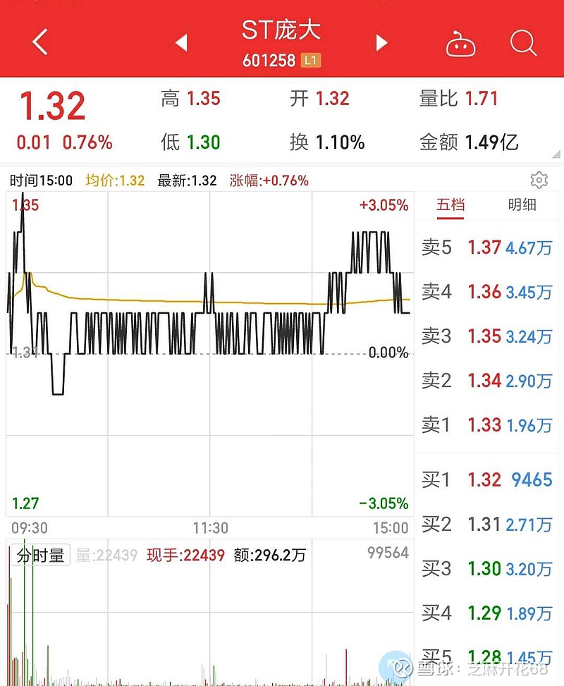 ST庞大最新动态全面解读