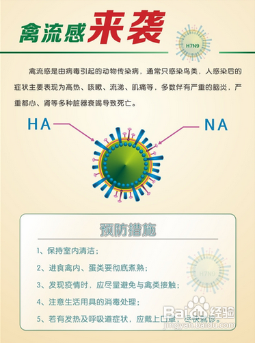 禽流感最新动态，全面解析2017年最新消息